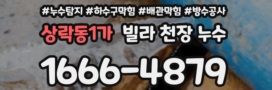 상락동1가 빌라 천장 누수