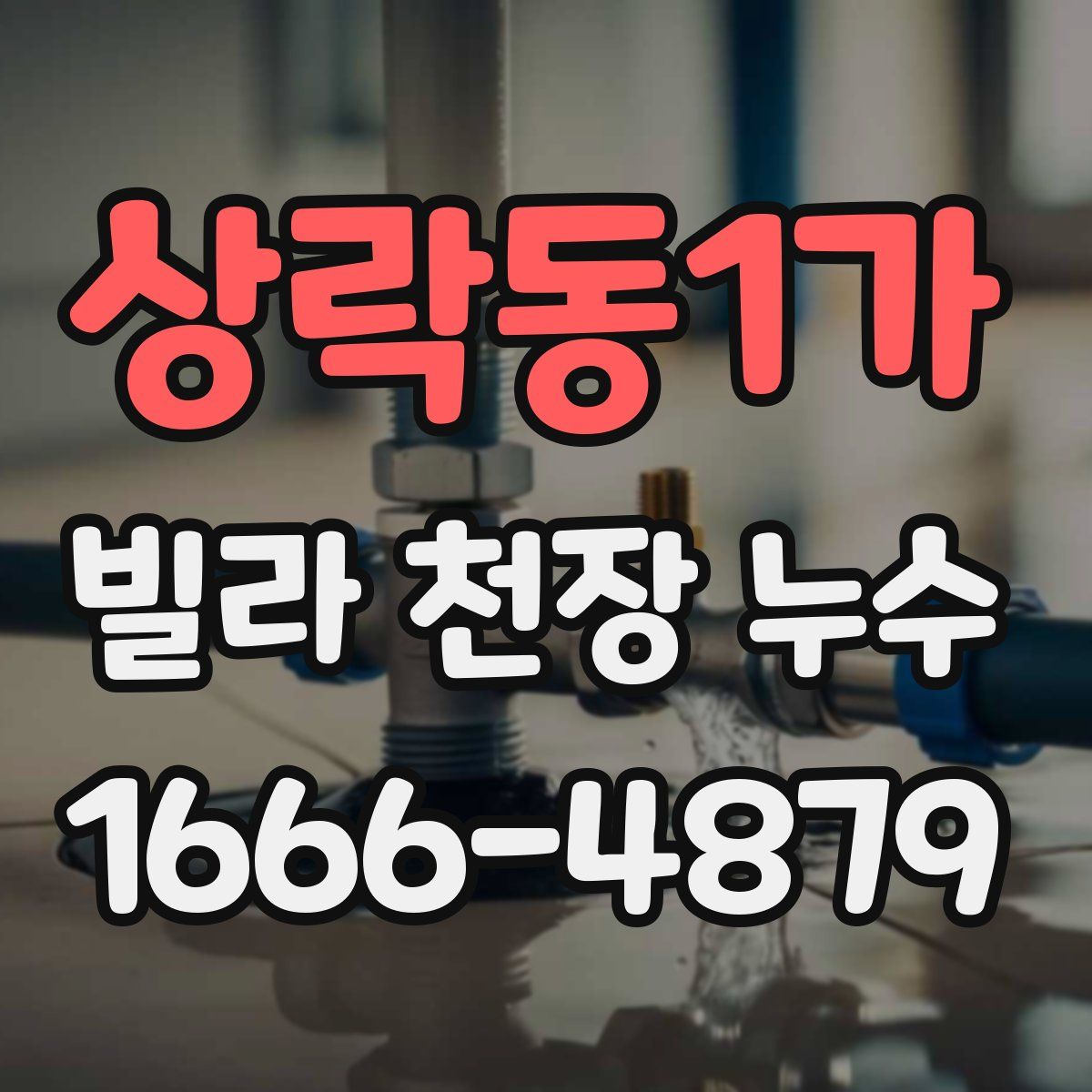 상락동1가 빌라 천장 누수