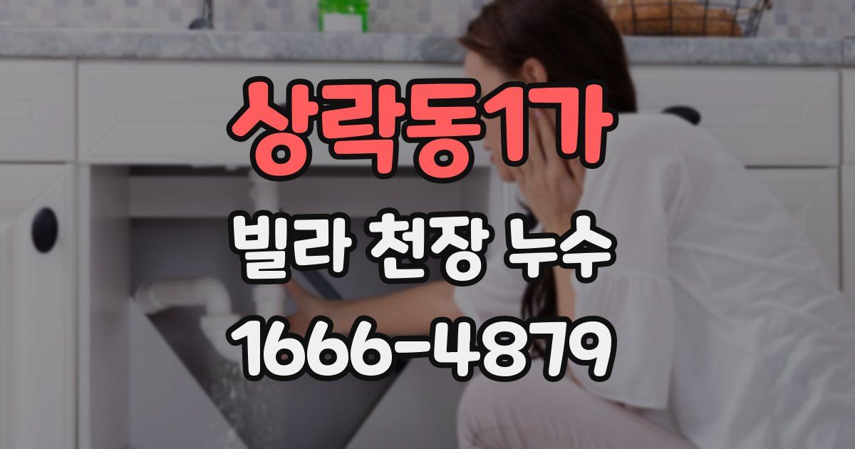 상락동1가 빌라 천장 누수