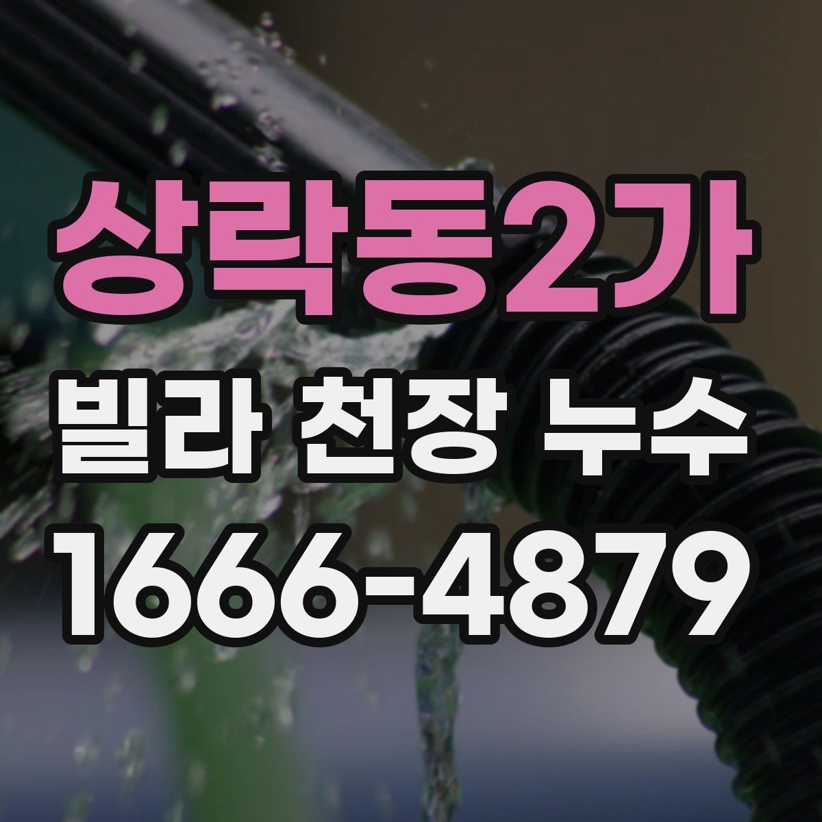 상락동2가 빌라 천장 누수