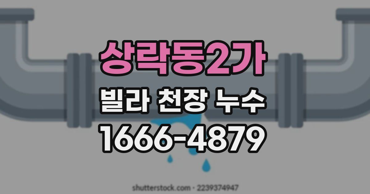 상락동2가 빌라 천장 누수
