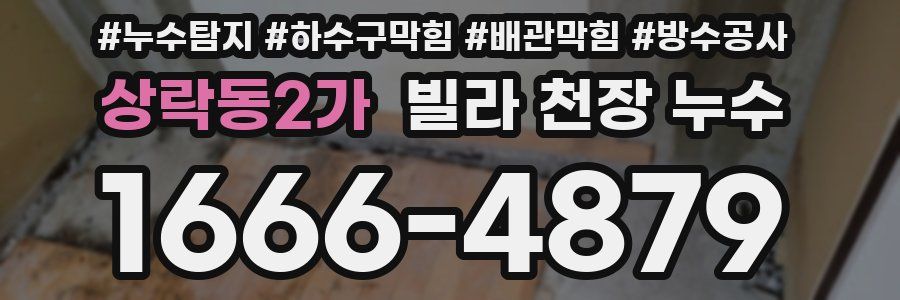 상락동2가 빌라 천장 누수