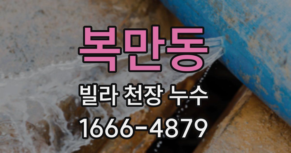 복만동 빌라 천장 누수