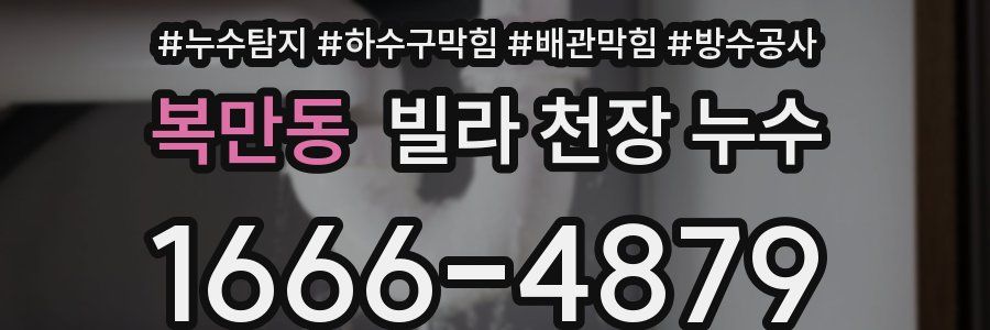 복만동 빌라 천장 누수