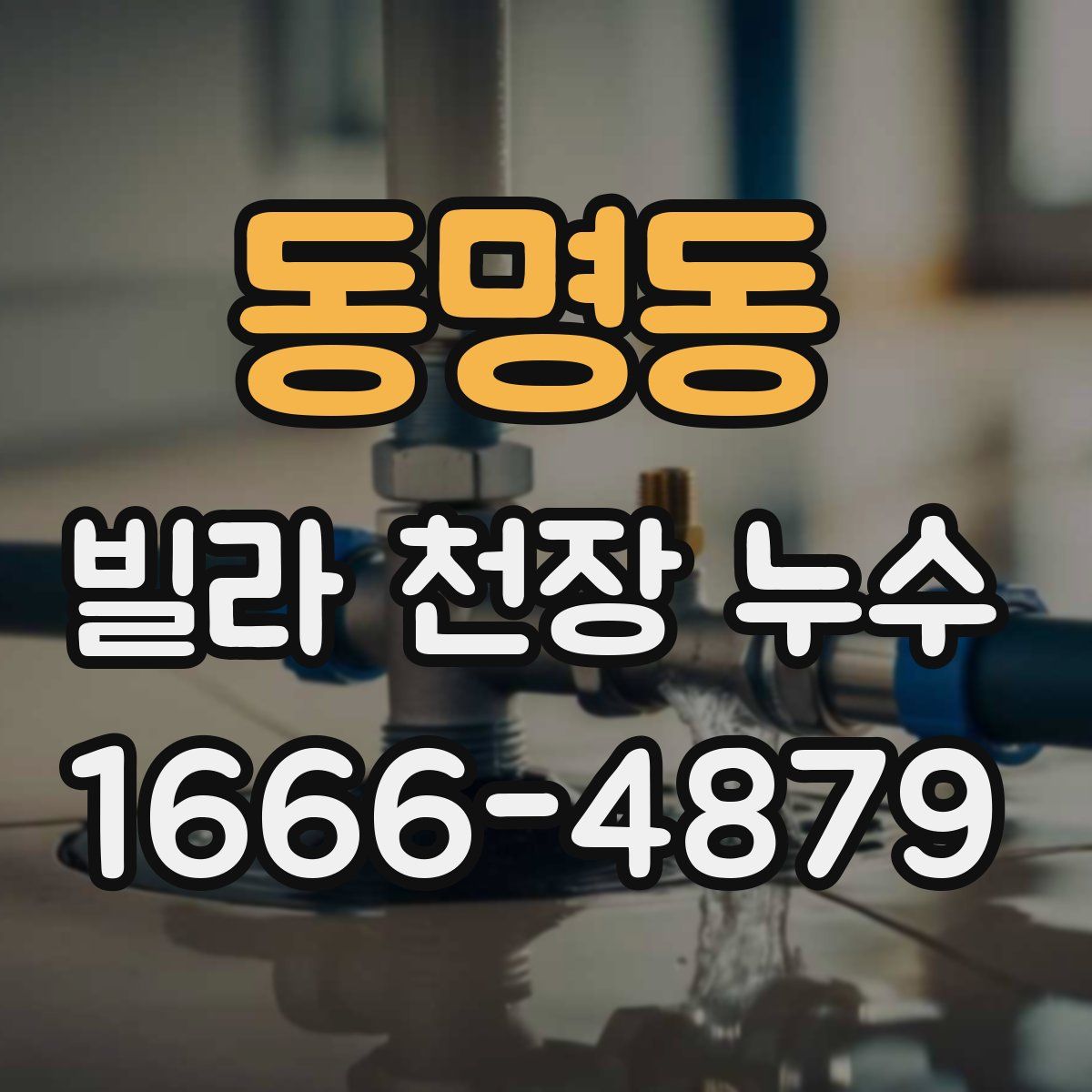 동명동 빌라 천장 누수