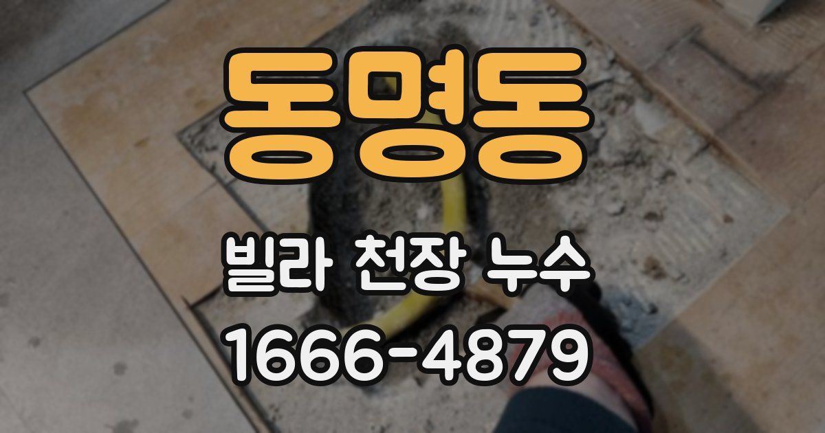 동명동 빌라 천장 누수
