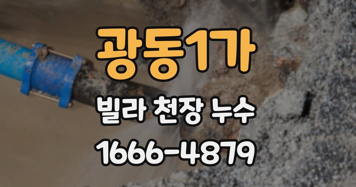 광동1가 빌라 천장 누수