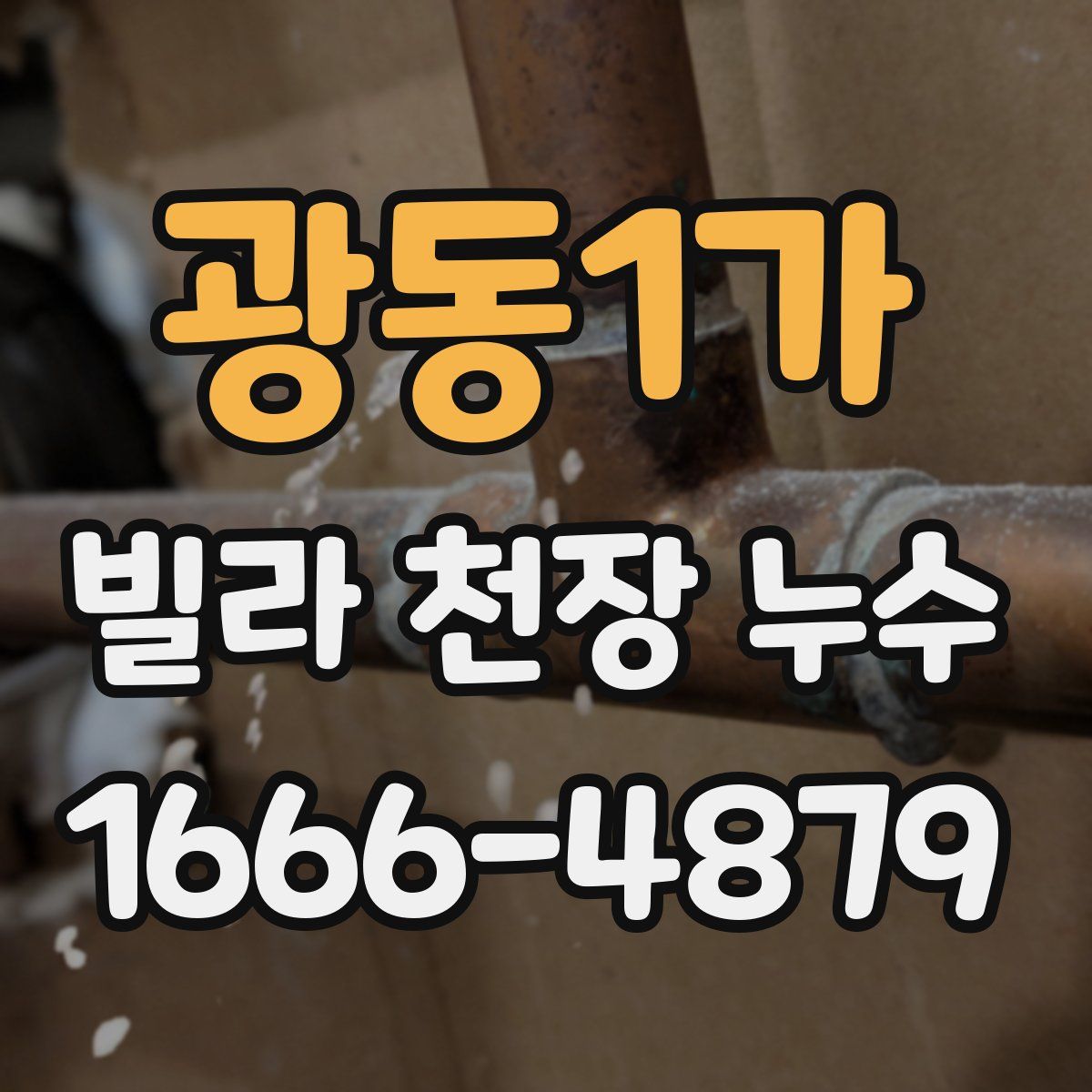 광동1가 빌라 천장 누수