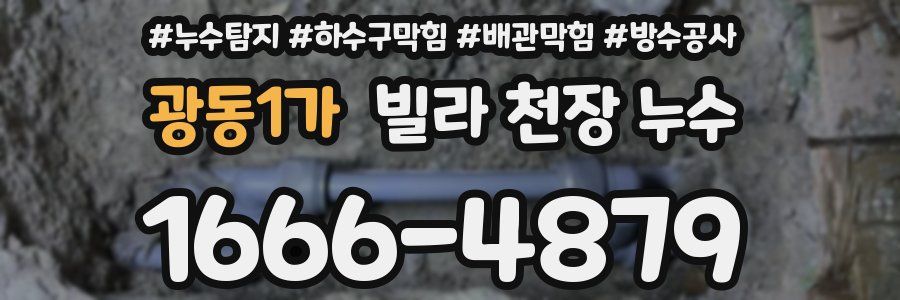 광동1가 빌라 천장 누수