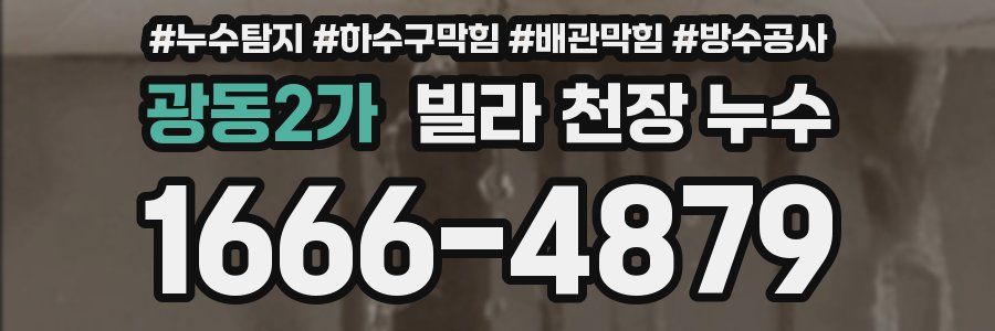 광동2가 빌라 천장 누수