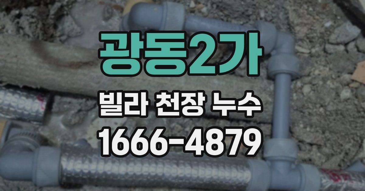 광동2가 빌라 천장 누수