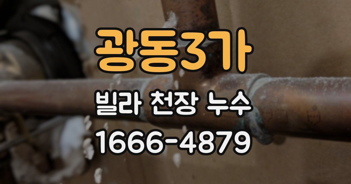 광동3가 빌라 천장 누수
