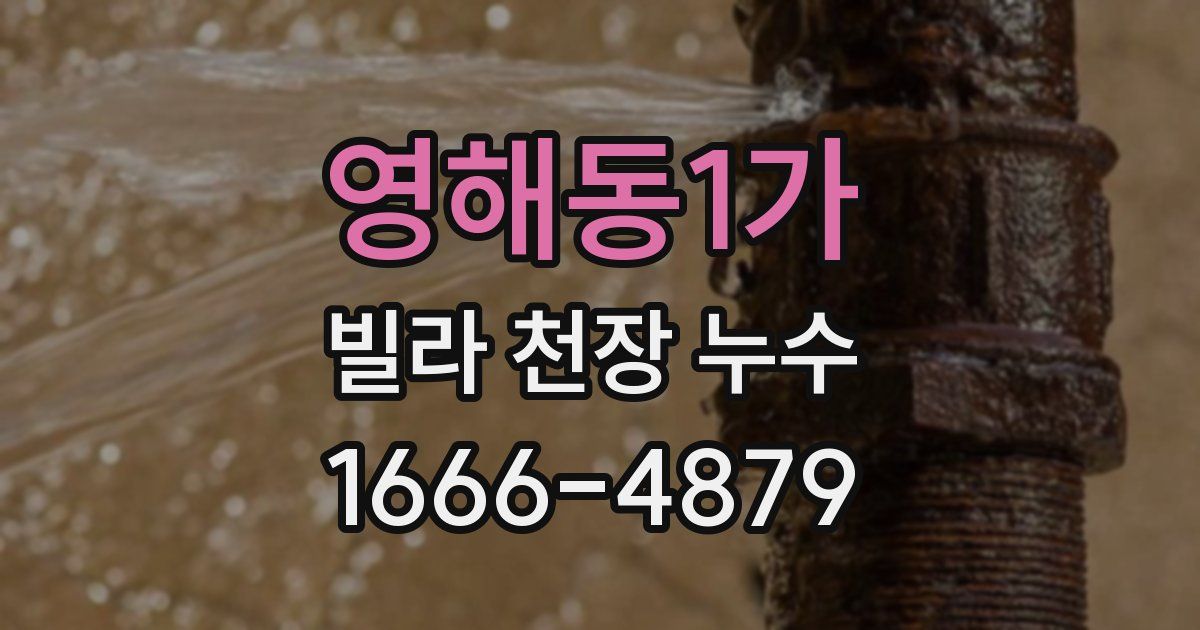 영해동1가 빌라 천장 누수