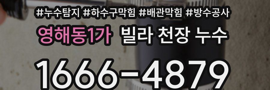 영해동1가 빌라 천장 누수