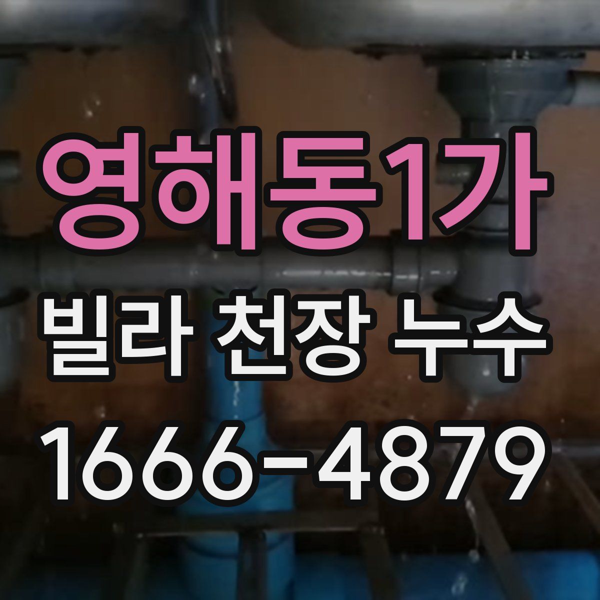 영해동1가 빌라 천장 누수