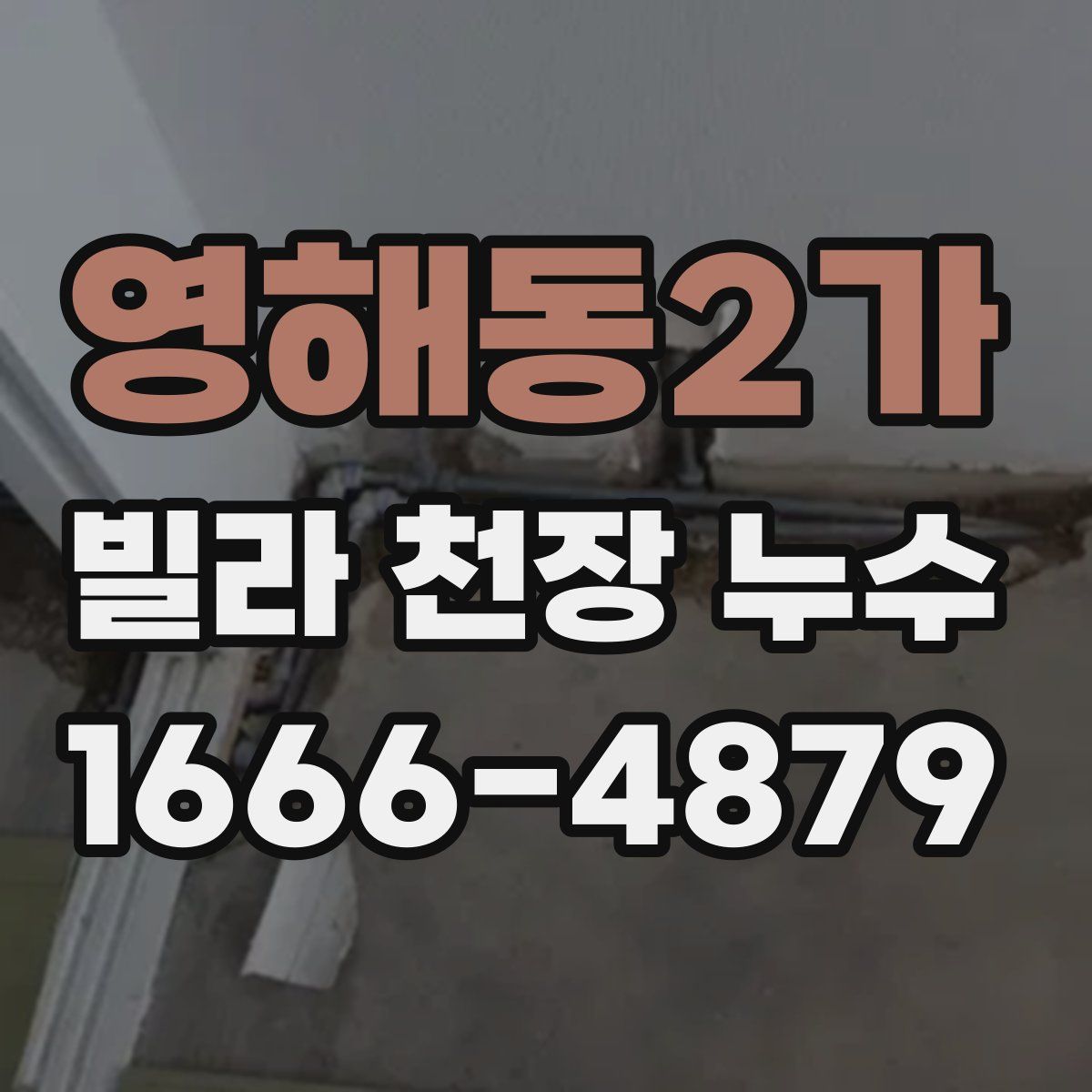 영해동2가 빌라 천장 누수