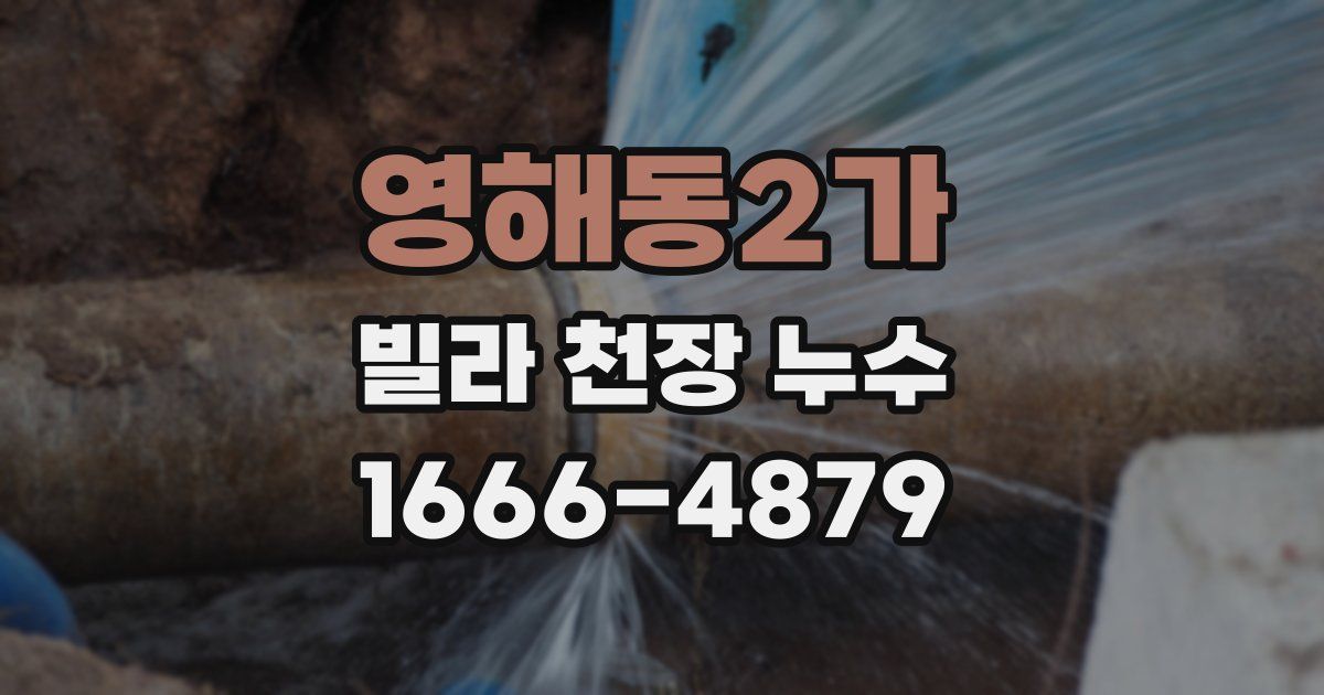 영해동2가 빌라 천장 누수