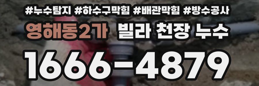 영해동2가 빌라 천장 누수