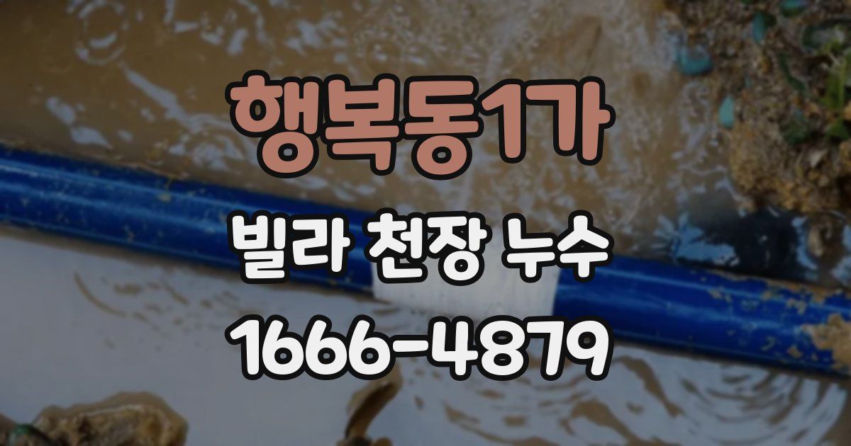 행복동1가 빌라 천장 누수