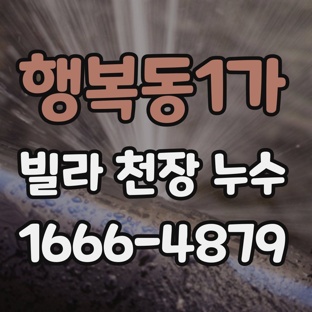 행복동1가 빌라 천장 누수