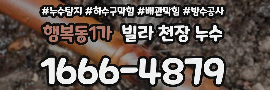 행복동1가 빌라 천장 누수