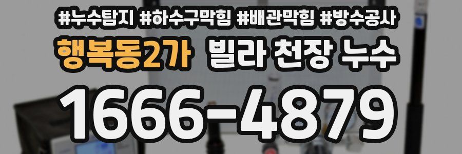 행복동2가 빌라 천장 누수
