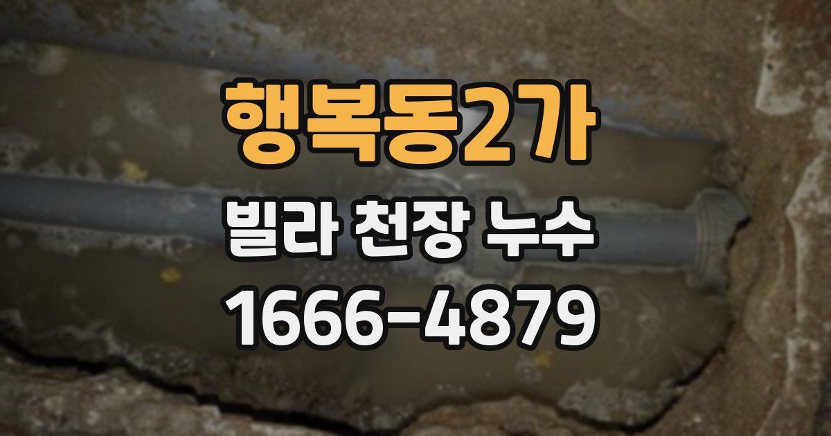 행복동2가 빌라 천장 누수