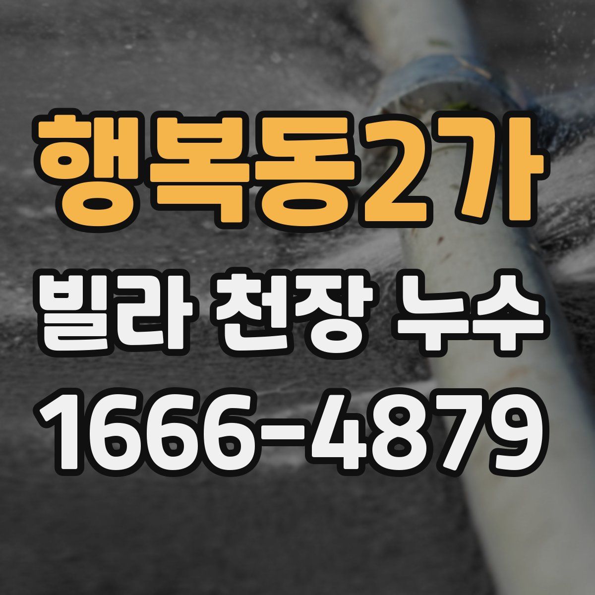 행복동2가 빌라 천장 누수