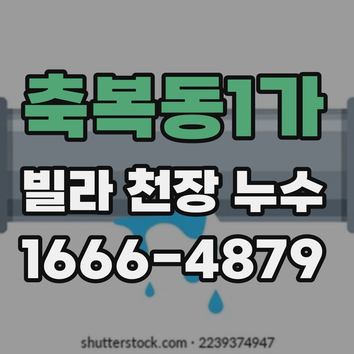 축복동1가 빌라 천장 누수