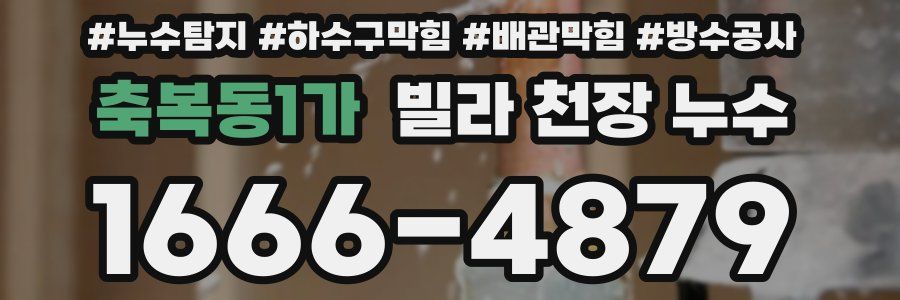 축복동1가 빌라 천장 누수