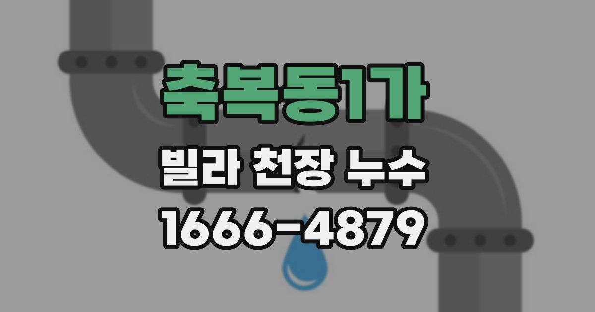 축복동1가 빌라 천장 누수