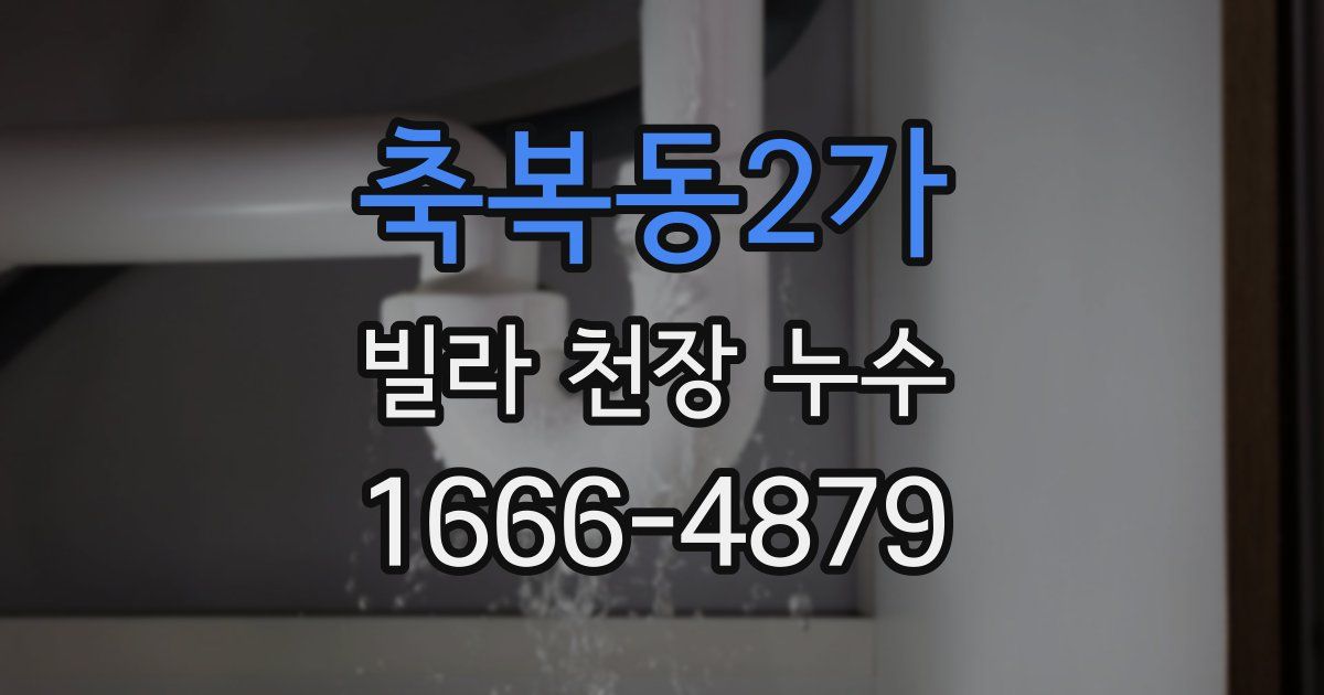 축복동2가 빌라 천장 누수