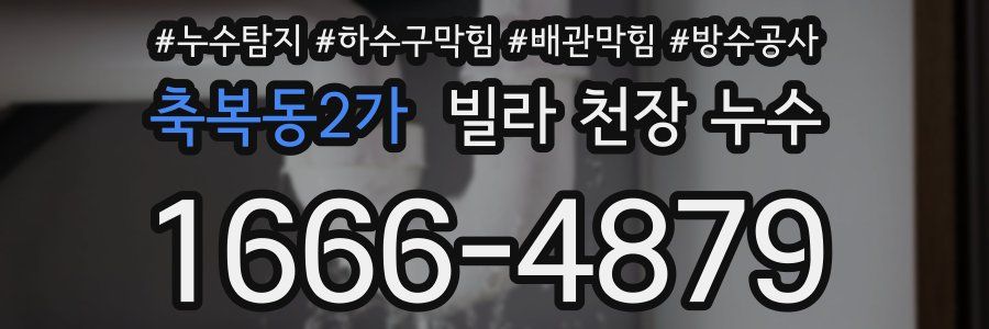 축복동2가 빌라 천장 누수