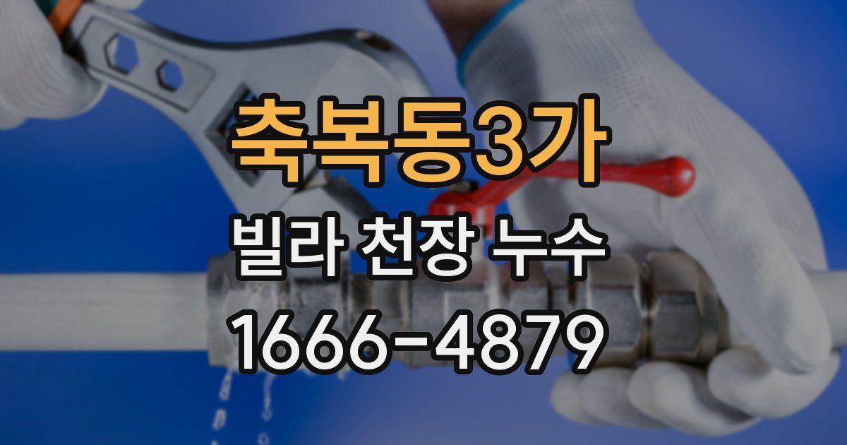 축복동3가 빌라 천장 누수
