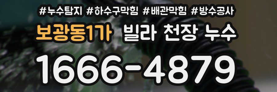 보광동1가 빌라 천장 누수