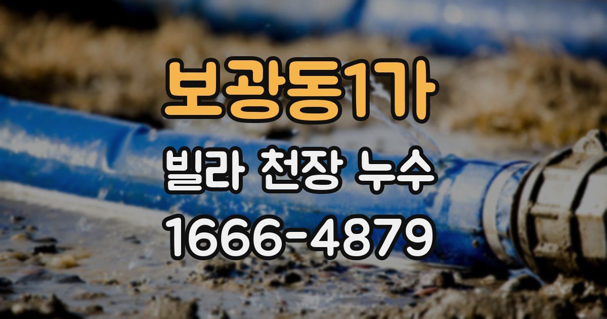 보광동1가 빌라 천장 누수