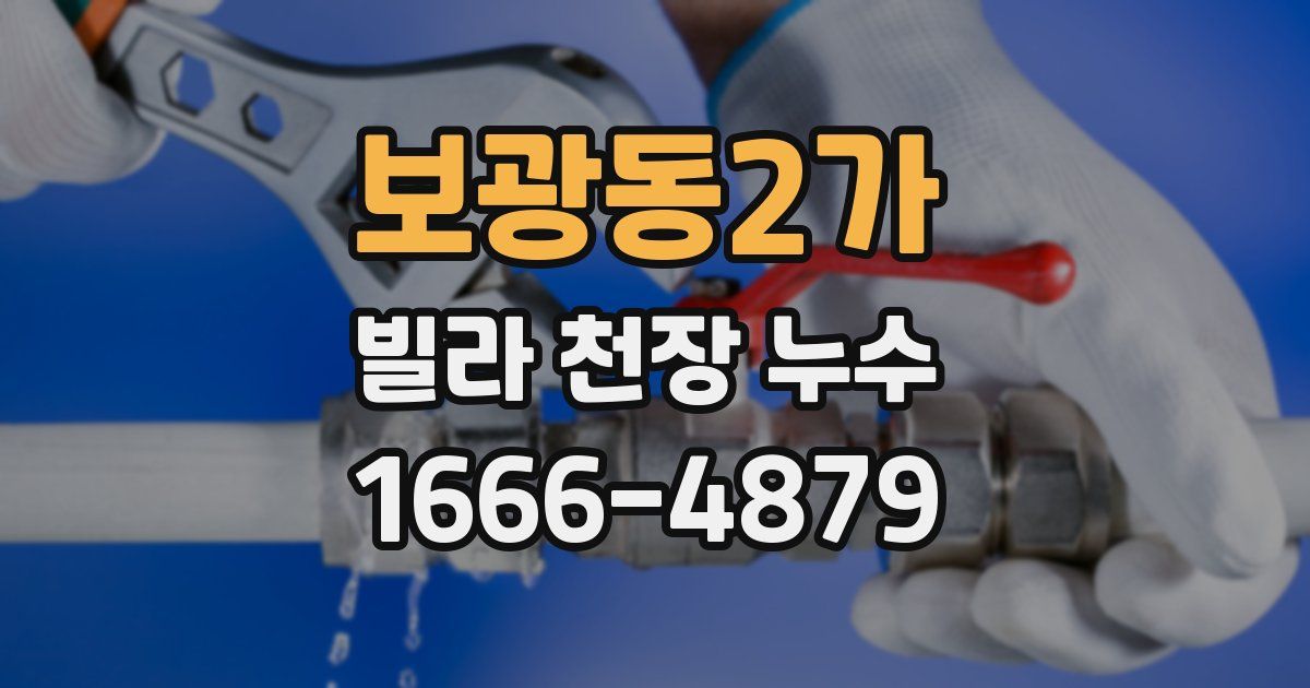보광동2가 빌라 천장 누수