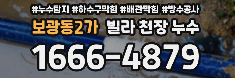 보광동2가 빌라 천장 누수