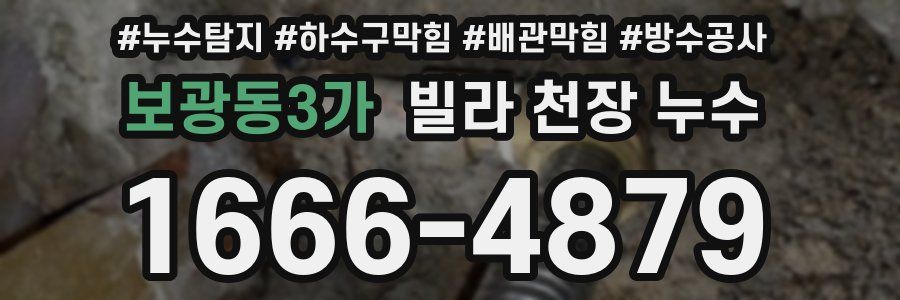 보광동3가 빌라 천장 누수