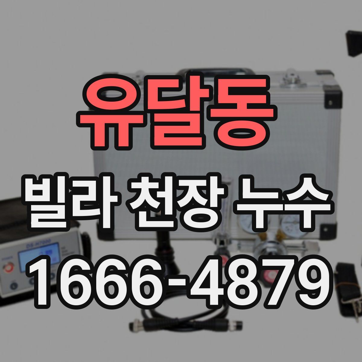유달동 빌라 천장 누수