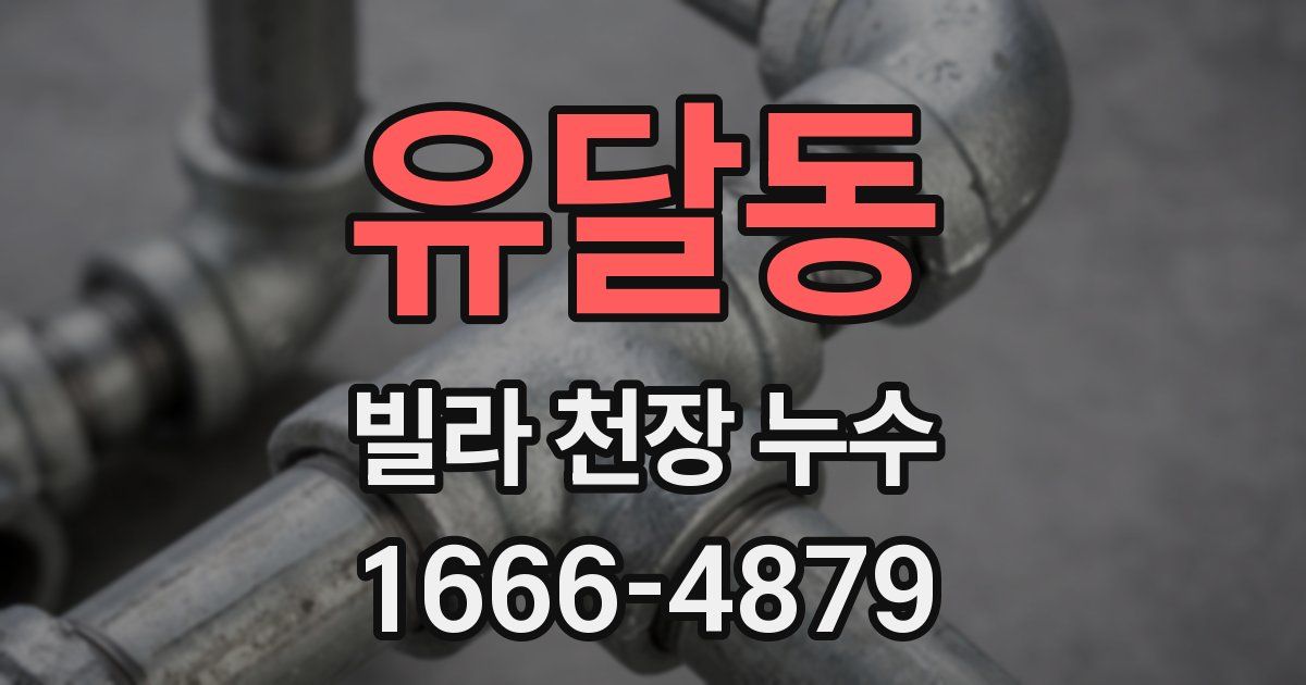 유달동 빌라 천장 누수