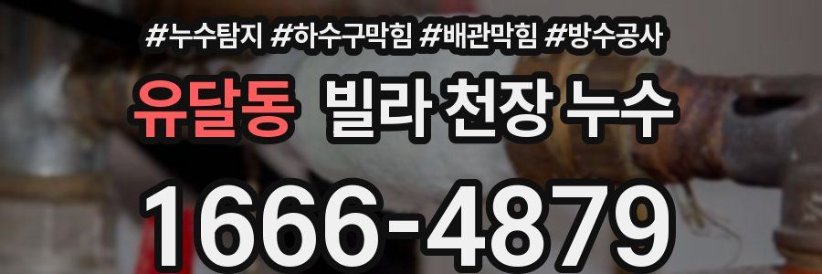 유달동 빌라 천장 누수