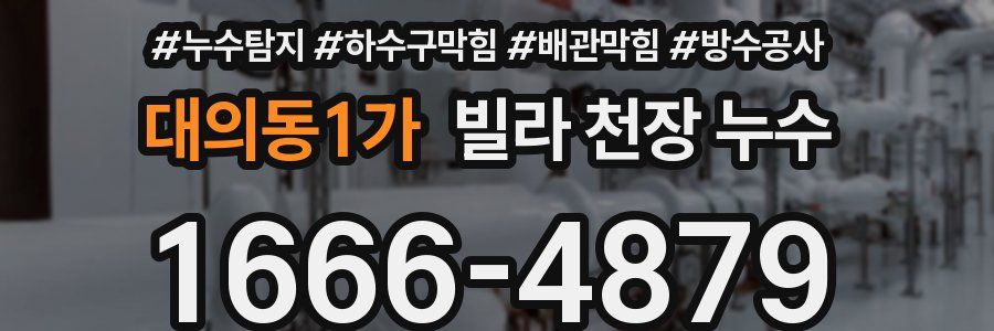 대의동1가 빌라 천장 누수
