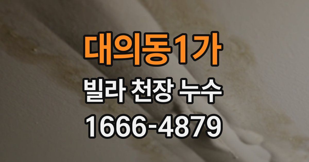 대의동1가 빌라 천장 누수