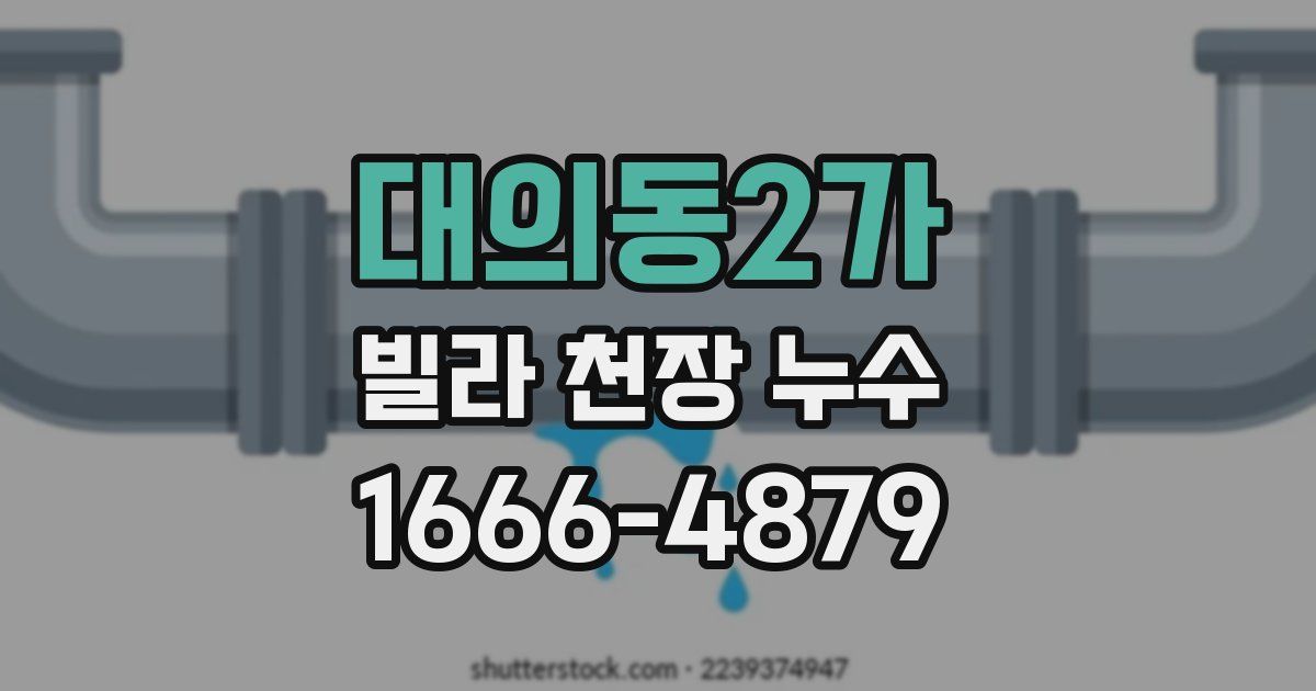 대의동2가 빌라 천장 누수