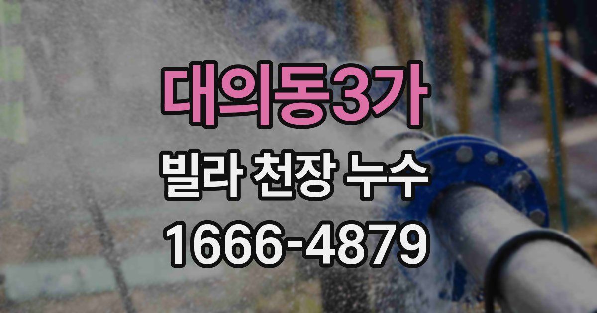 대의동3가 빌라 천장 누수