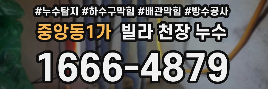 중앙동1가 빌라 천장 누수