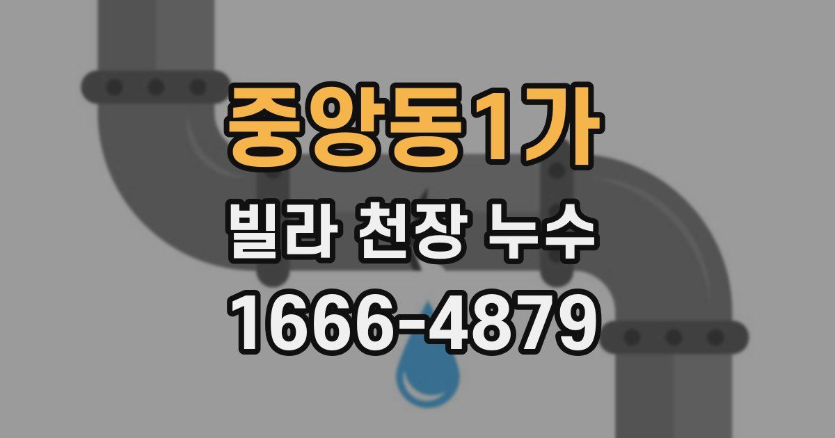 중앙동1가 빌라 천장 누수