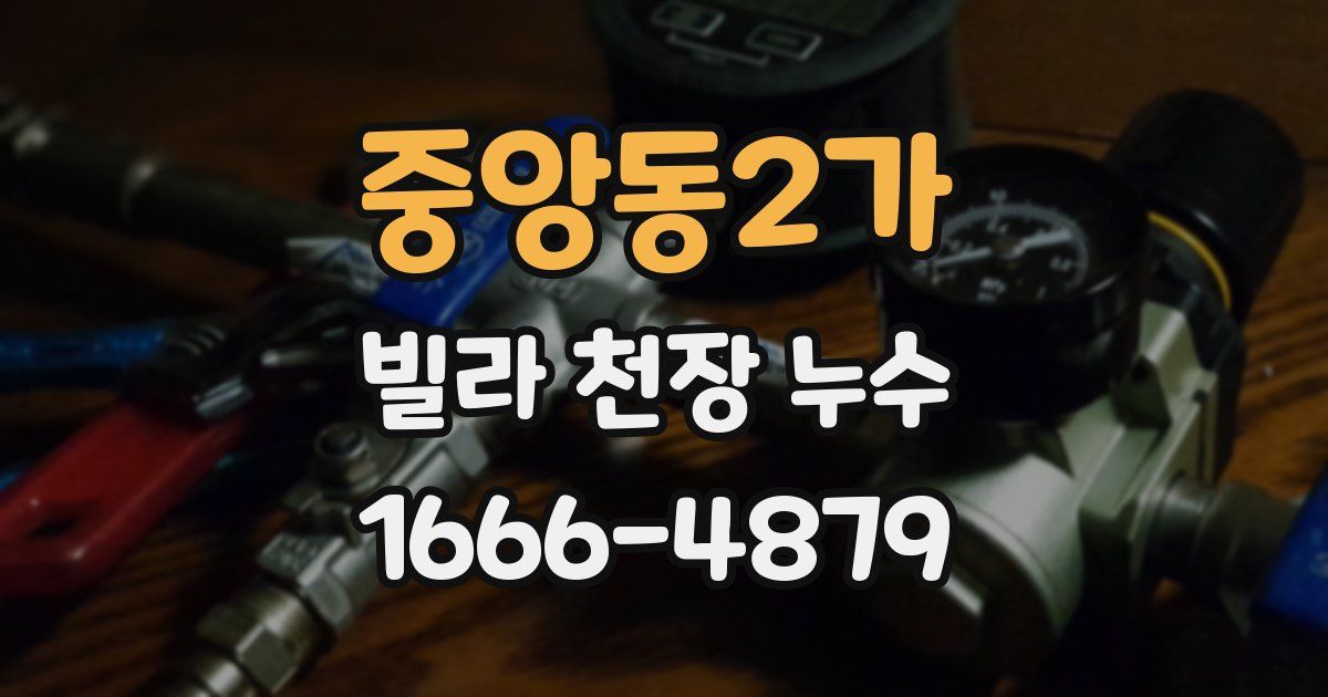 중앙동2가 빌라 천장 누수