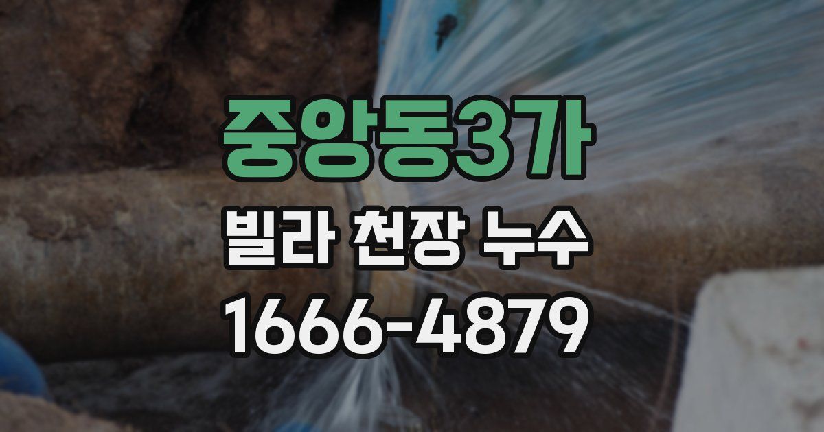 중앙동3가 빌라 천장 누수